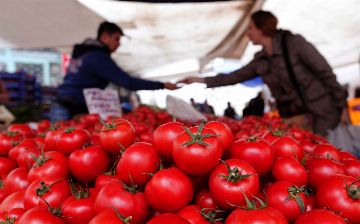 Россельхознадзор разрешил ввоз томатов с нескольких предприятий Узбекистана