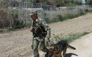 Жители приграничных местностей помогут охранять узбекскую территорию