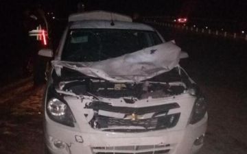 В Джизакской области водитель «Кобальта» на скорости врезался в пассажирский автобус – два человека погибли