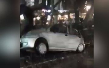 В Ташкенте дерево рухнуло на проезжую часть, придавив три автомобиля — видео