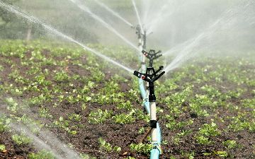 Правительство утвердило лимиты использования воды для орошения
