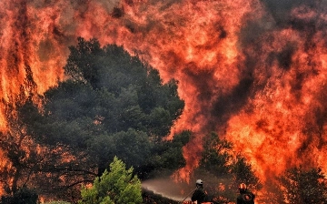 Лесные пожары в Греции унесли жизни более 20 мигрантов (видео)