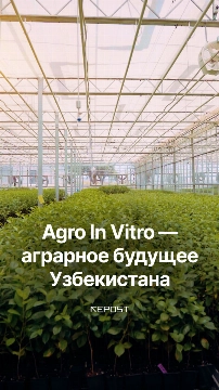 Свежайшие фрукты уникальных сортов — результат работы проекта Agro In Vitro, созданного при поддержке Agrobank