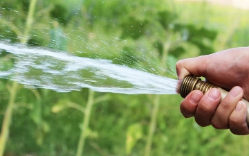 В Ташкенте отменили ограничение на полив растений в весеннее и летнее время