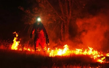 Во Франции по подозрению в причастности к возникновению лесных пожаров задержали 375 человек