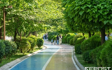 Какая погода ждет узбекистанцев после праздничных выходных