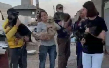 В Ташобласти волонтеры спасли от гибели несколько десятков собак (видео 18+)