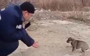 В Фергане сотрудники УЧС спасли щенка, провалившегося в выгребную яму — видео