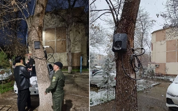 В Ташкенте оштрафовали мужчину, установившего зарядку для электромобилей на дереве