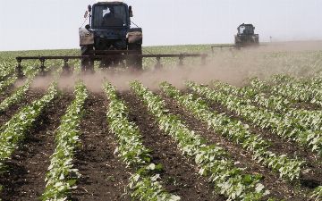 Россия выделит узбекским предпринимателям земли для выращивания ряда сельхозкультур с последующим вывозом урожая в Узбекистан