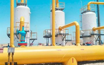 Власти Узбекистана освободили компании от таможенных пошлин при импорте газа