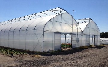 Теплицы в Ташкенте и столичной области начали переводить на газ