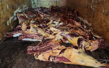 Из Самарканда в Ташкент хотели провезти почти тонну испорченного мяса