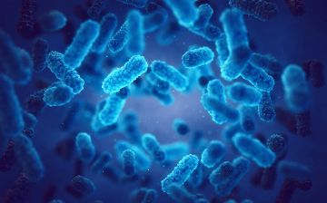 Ученые раскрыли фермент, который разрушает бактерии – новую альтернативу антибиотикам