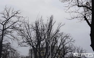 Прогноз погоды в Узбекистане на 13 декабря