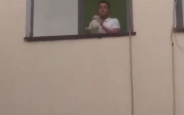 В Ташкенте подросток выбросил кота с третьего этажа — видео