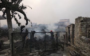 Пожары в Греции уничтожили около 100 домов