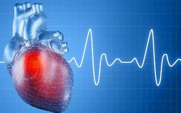 Нейросеть научили узнавать людей по их сердцебиению