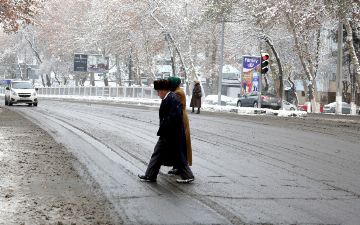 В Узбекистане в преддверии нового года ожидаются заморозки&nbsp;