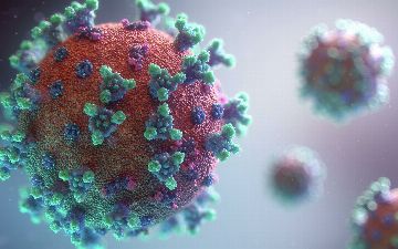 Ученый предсказал, что коронавирус никуда не исчезнет и человечеству нужно учиться жить с ним – почему?