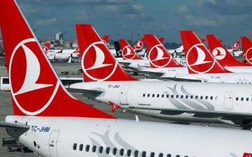 Турция вводит обязательные электронные анкеты для иностранцев 