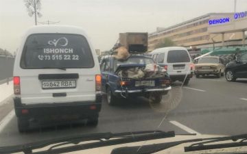 В Ташобласти мужчина привязал собаку к багажнику на крыше автомобиля
