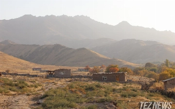 Выяснилось, как в Узбекистане будут восстанавливать деградированные земли
