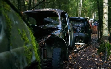 В Швеции нашли одно из самых больших автомобильных кладбищ Европы
