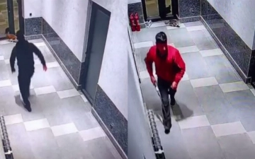 В ГУВД Ташобласти прокомментировали жестокое убийство кошек