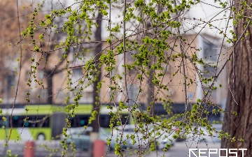 Воздух в Ташкенте на 28 марта: уровень загрязнения незначительно превысил норму