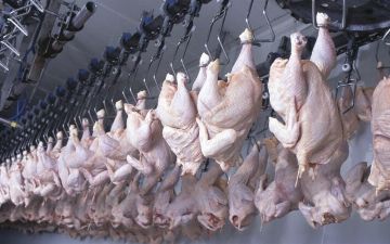 Обнулены пошлины на ввоз ряда продуктов, включая мясо птицы и масло