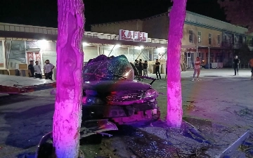 Jizzaxda Gentra daraxtga urildi, haydovchi halok bo‘ldi