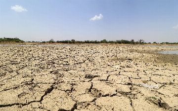 Казахстану угрожает экстремальная засуха