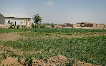 Ответственность за самовольный захват земель в Узбекистане будет усилена<br>
