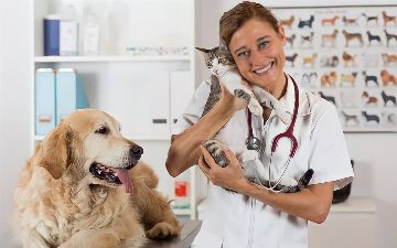 Список ветеринарных клиник в Ташкенте, где квалифицированные врачи окажут своевременную помощь вашему питомцу