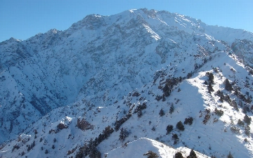 Namangan va Toshkent viloyatining togʻli hududlarida qor koʻchish xavfi eʼlon qilinadi