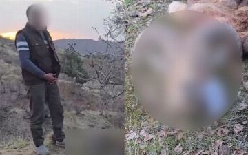 В Сурхандарье мужчина застрелил краснокнижного барана: ущерб составил более 400 млн сумов