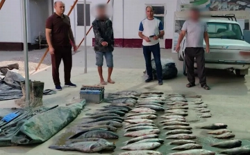 В Сырдарье браконьеры незаконно ловили рыбу: ущерб составил почти 1 млрд сумов