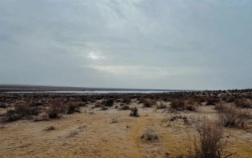 В Каракалпакстане на берегу озера Сайкуль организуют комплекс сафари-туризма