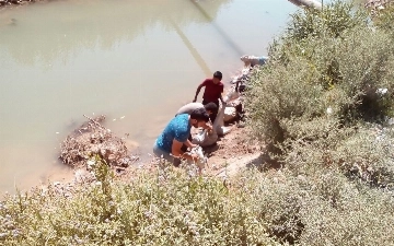 Toshkent viloyatida kanal atrofida hayvon suyaklari to'planib qolgani aytildi