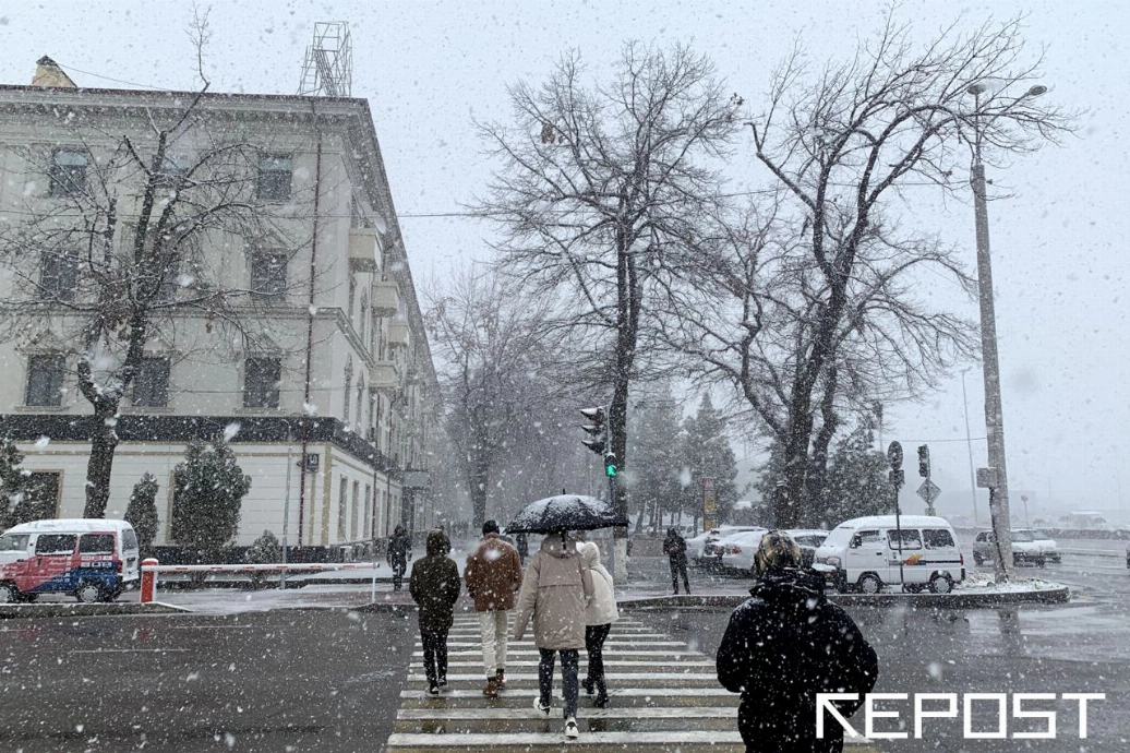 Фото: Repost.uz