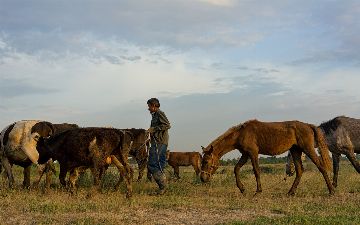Узбекистанца держали год в трудовом рабстве на территории Казахстана