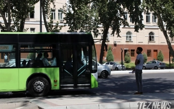 Mustaqillik kuni Toshkentda avtobuslar qay tartibda harakatlanadi — jadval