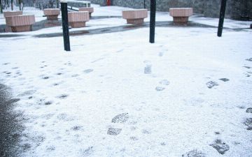 Снег, дождь и заморозки: какая погода ждет жителей Узбекистана в начале следующей недели