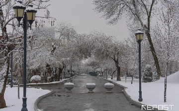 Воздух в Ташкенте на 26 января: уровень загрязнения превысил норму в два раза