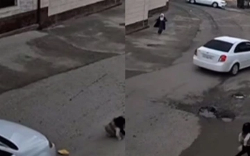 В Самарканде школьник на Gentra сбил девочку и скрылся с места ДТП