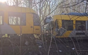 В Дании произошло лобовое столкновение двух поездов, пострадали 17 человек