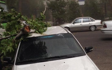 Ташкентцев экстренно предупредили о сильном ветре и дожде