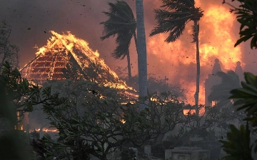 Лесные пожары на Гавайях унесли жизни 36 человек (видео)