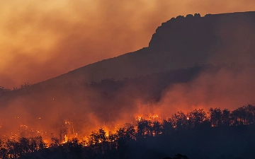 За последние 20 лет в мире удвоилась частота крупных лесных и степных пожаров